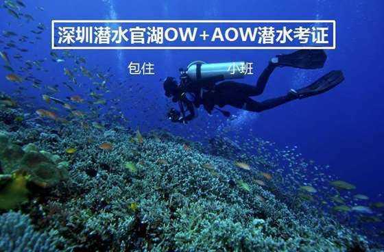 升国旗，奏国歌！河南足球俱乐部青训梯队在国旗下宣誓
