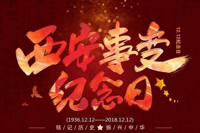 前车蛇形走位 后车避让不及撞了车